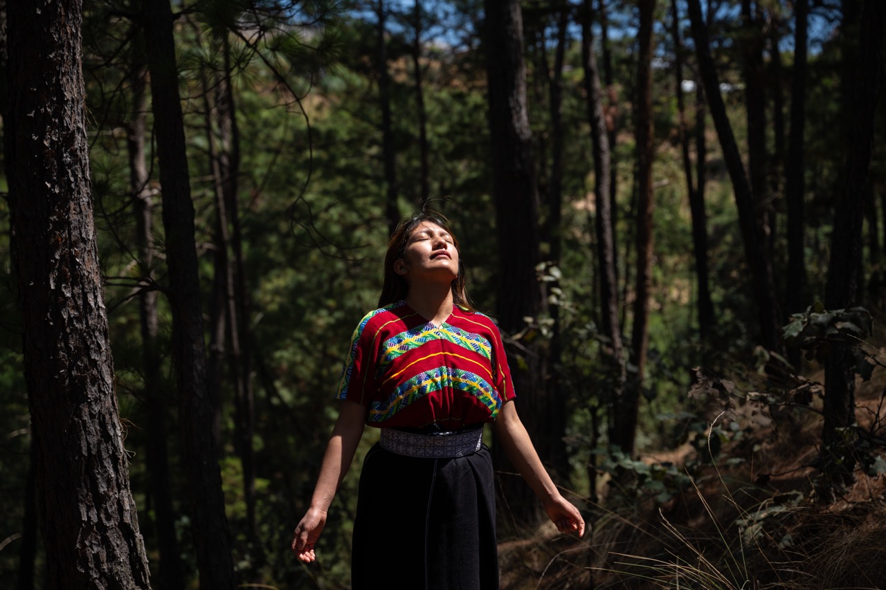 Puster grønt håp inn i Guatemalas skoger